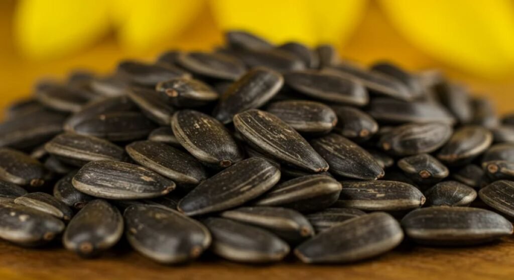 A close-up of sunflower seeds, emphasizing their characteristic black shells with white stripes and a teardrop shape. Sunflower seeds are a nutrient-dense snack, packed with vitamin E, selenium, and healthy fats that help bolster your immune system. Including sunflower seeds in your diet is a great way to incorporate into your daily routine.