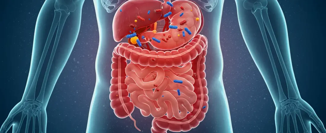 Gut Health 101: Heal Your Gut Naturally and Improve Your Mood