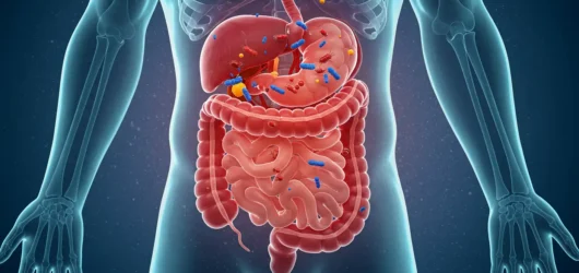 Gut Health 101: Heal Your Gut Naturally and Improve Your Mood